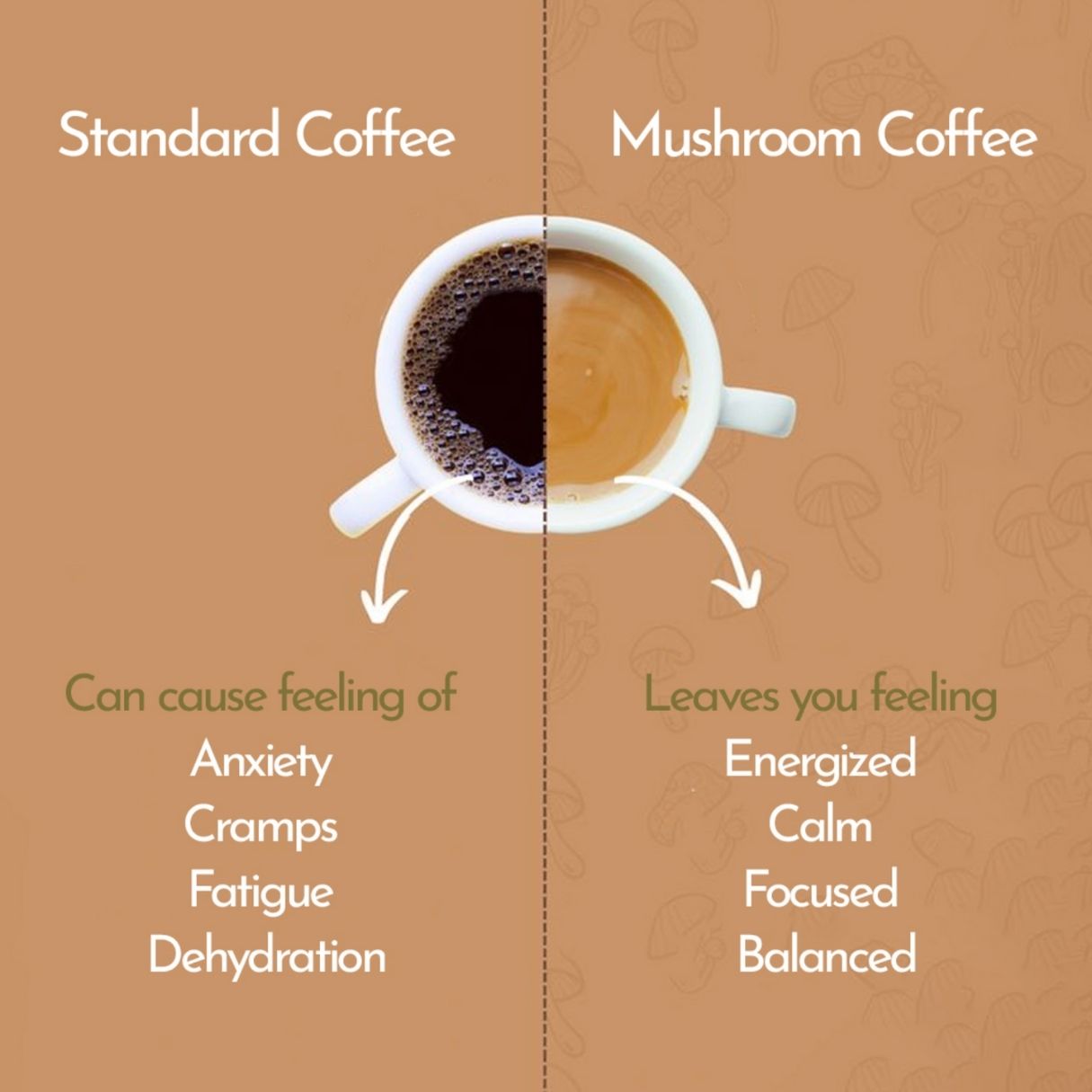 Mushroom Coffee Benefits