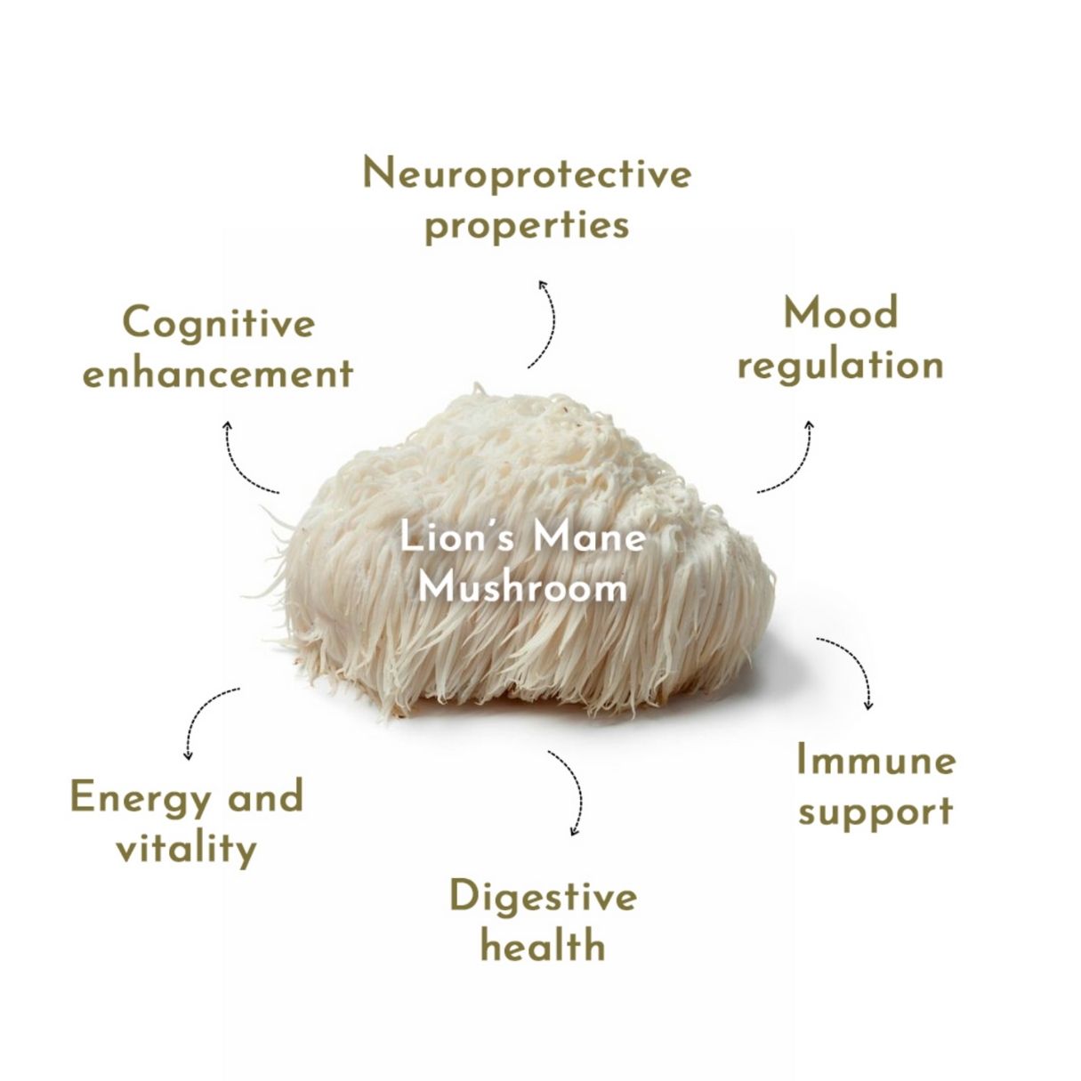 Lion's Mane Coffee Drops