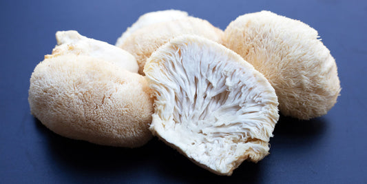 Brain Hack: Why Lion's Mane Coffee is the Ultimate Tool for Focus