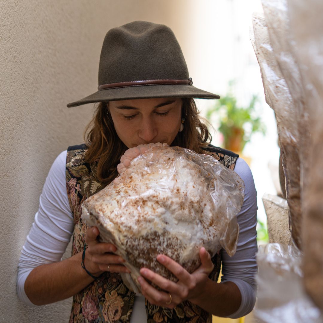 The 30-Day Lion’s Mane Protocol