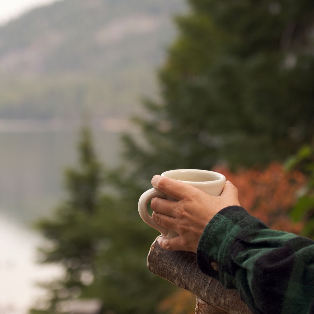 Why I Replaced My Morning Coffee with a Mushroom Drink