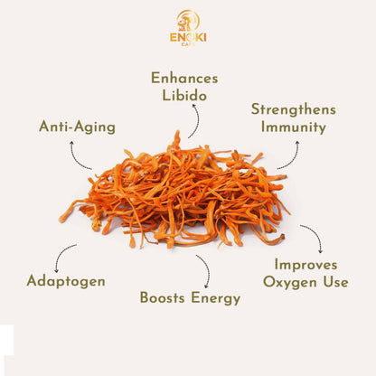 Cordyceps Coffee Drops