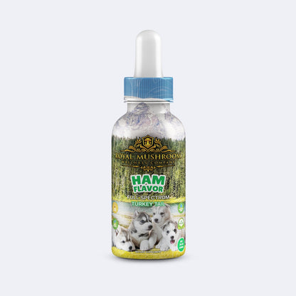 Dogs Tincture Ham Flavor - Turkey-Tail Royal-Mushroom