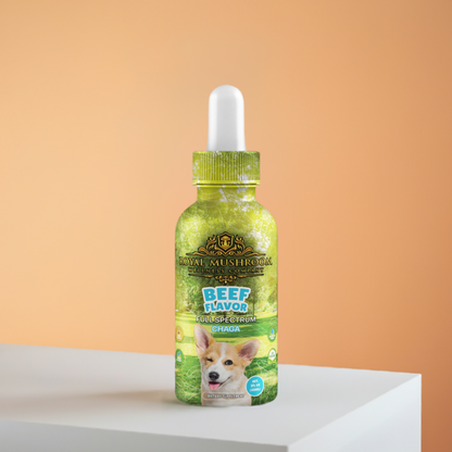 Dogs Tincture Beef Flavor - Chaga